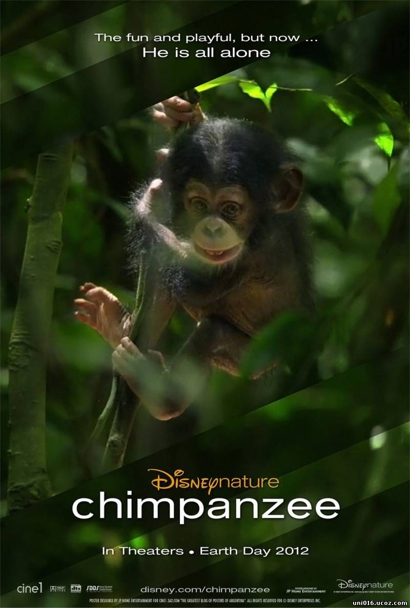 /news/shimpanze/2012-10-05-2428